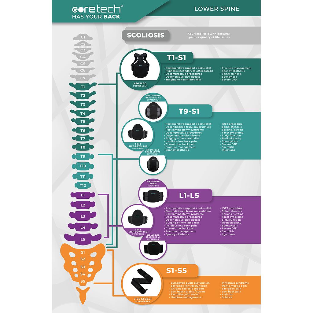 Spine Chart Poster Coretech