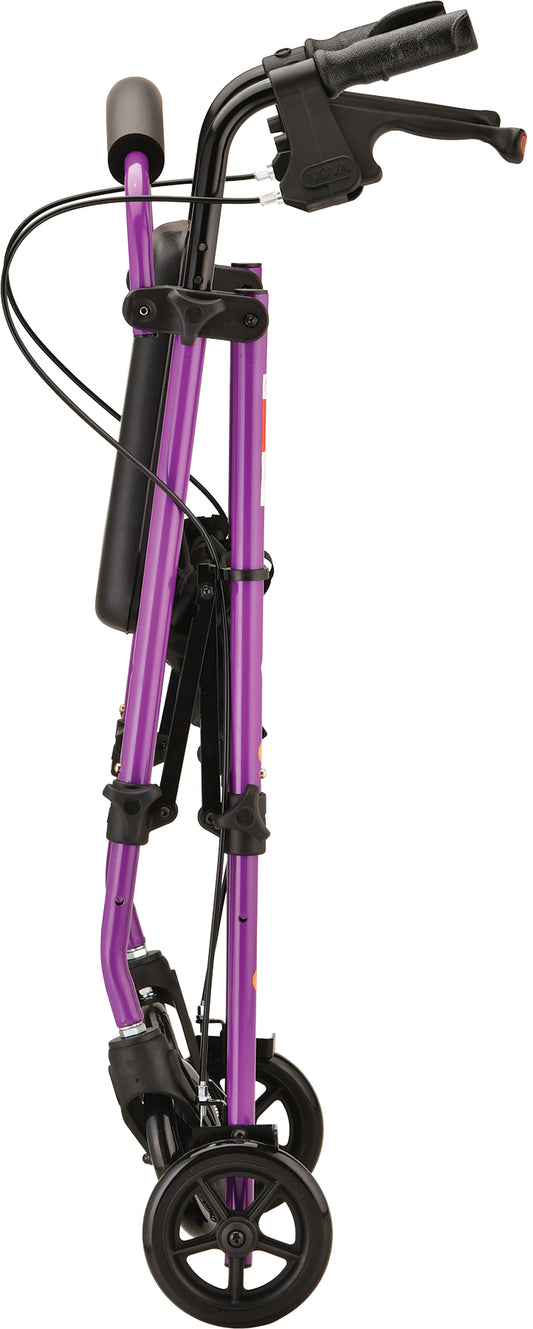 JOURNEY ROLL WLKR STL KD PURP